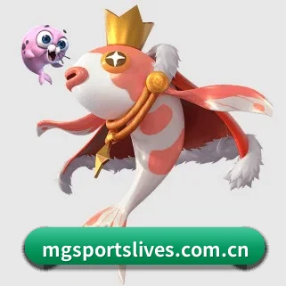 体育直播 APP